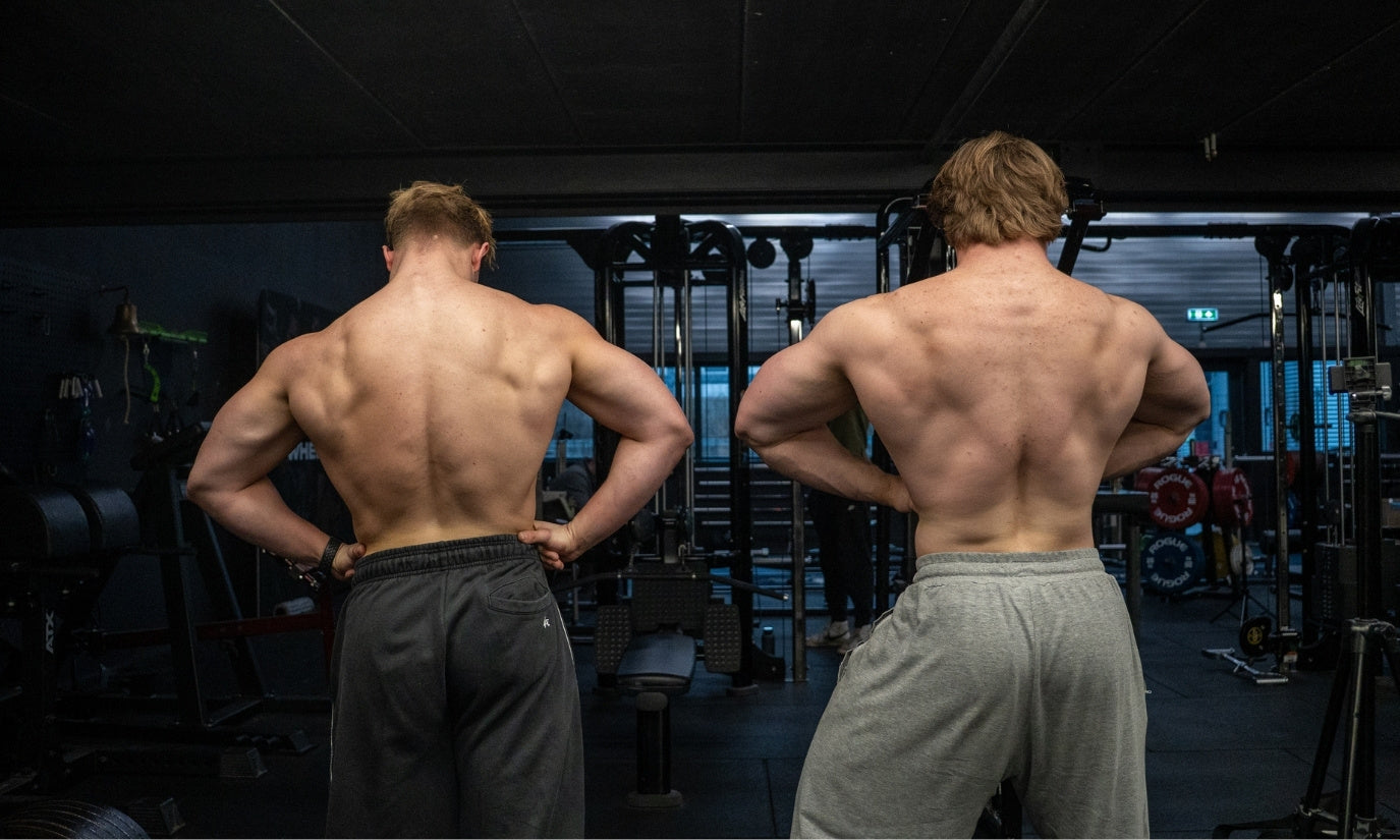 Aswagandha veilig lange termijn