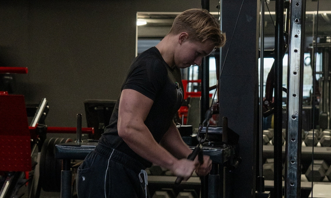 Wat is groene thee extract in pre-workout